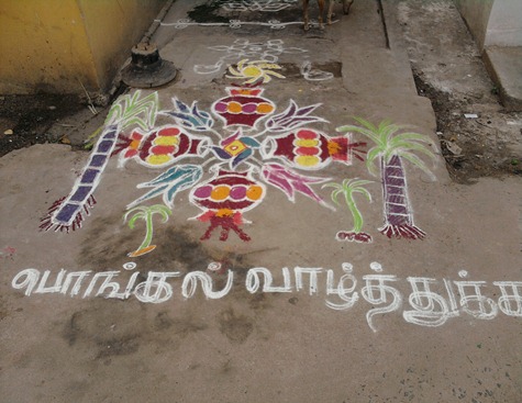 PONGAL (3)