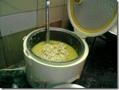 PONGAL (15)