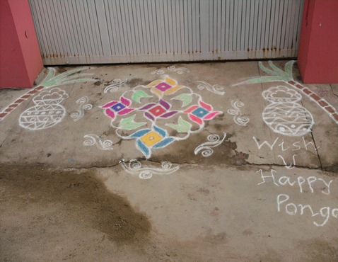 PONGAL (1)